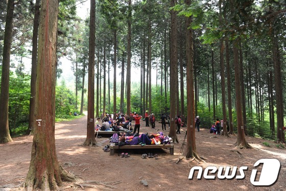 장성군, 축령산 일대 치유의 숲 가는 길 조성