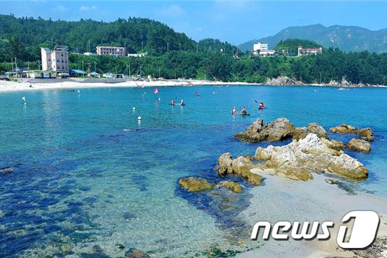 삼척시, 장호국민여가캠핑장→장호비치캠핑장 명칭 변경