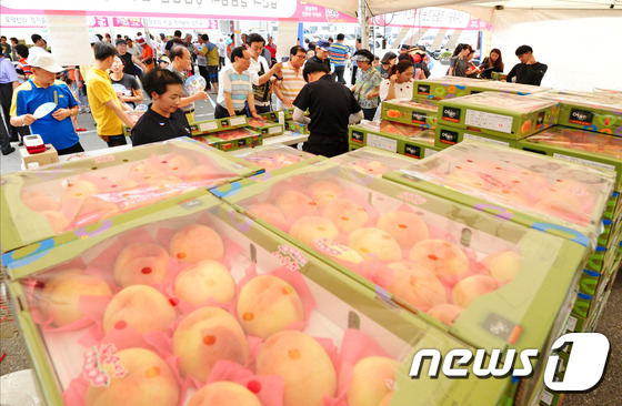 전주종합경기장서 26~27일 전주명품 복숭아큰잔치