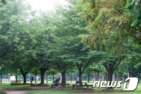 나무 그늘이 최고야