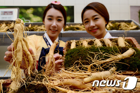 충남보건환경硏, 금산 지역 유통 인삼 안전성 검사 실시