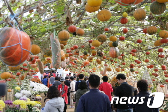 연천군, 10월 1~23일 ‘요상한 호박세상’ 전시회