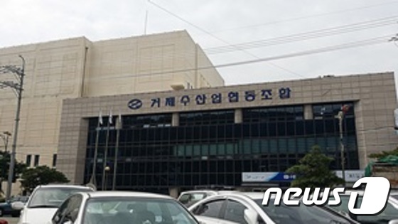 거제수협, 2015년 말까지 125억5100만원 손실 공시
