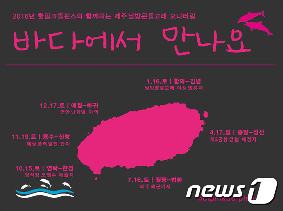 핫핑크돌핀스 제주남방큰돌고래 만나러 제주로 오세요
