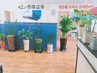 지입차, 화물 대행 서비스의 새로운 바람
