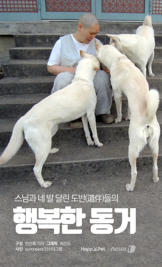 [펫카드] 개똥스님과 진돗개들의 행복한 동거