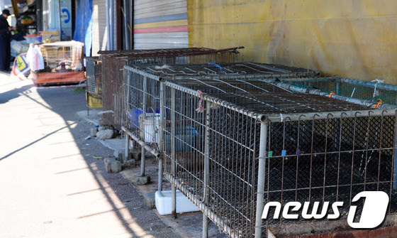 AI여파로 썰렁한 재래시장 닭집들