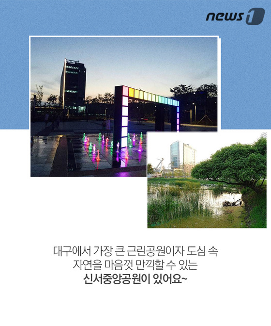 [카드뉴스] 팔공산 갓바위도 반한 ‘팔공이노밸리’