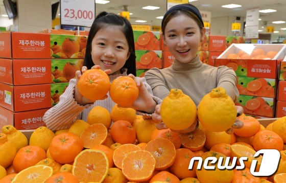 만감류 제철이 돌아왔어요