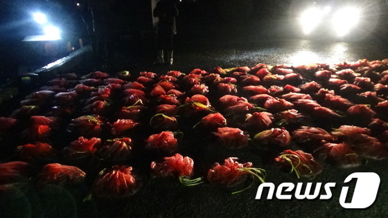 평택해경, 불법 개불잡이 일당 잠복 수사 끝에 검거