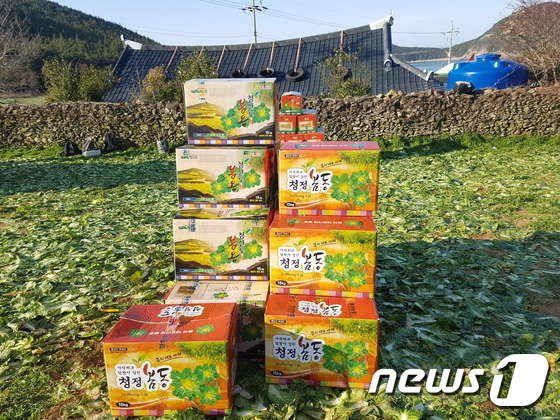 [풍경] 완도 청산도 봄동배추 수확 한창