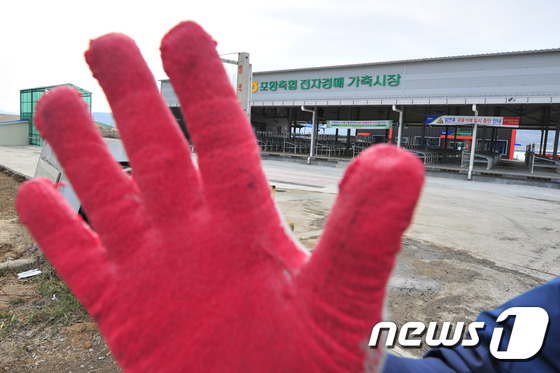 오늘 우시장 폐쇄합니다