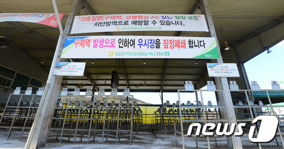 [르포]청정지역이 어쩌다… 구제역 쇼크에 빠진 보은