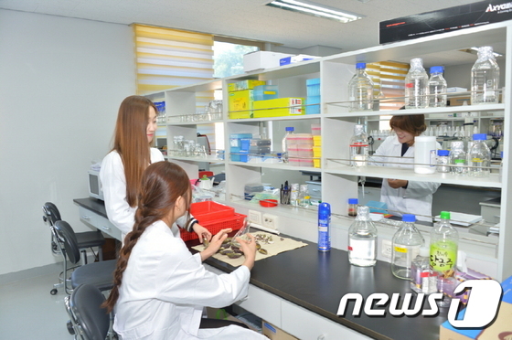 순창産 아로니아·꾸지뽕 아토피·항당뇨 효능 입증