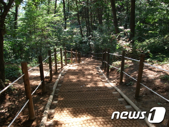 천안시 도심 등산로 야자매트 설치로 안전 강화 