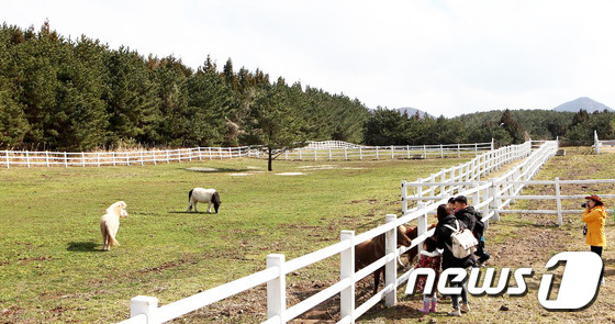 렛츠런파크제주, 마(馬)랑 힐링투어 운영