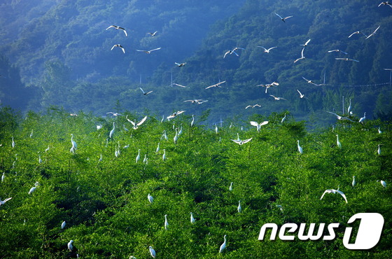 울산 남구 삼호동 친환경 생태마을로 거듭난다