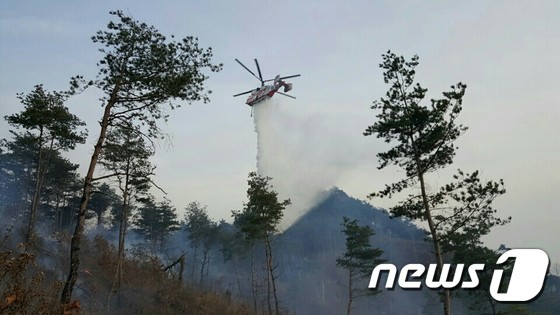 봉화서 산불 4시간 만에 진화…국유림 1㏊ 소실