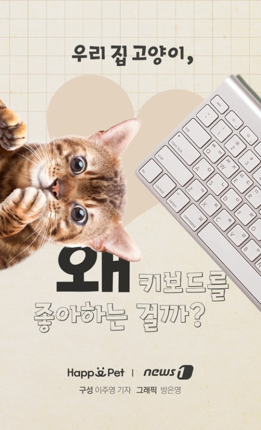 0002719603_001_20170508100131951.jpg?typ