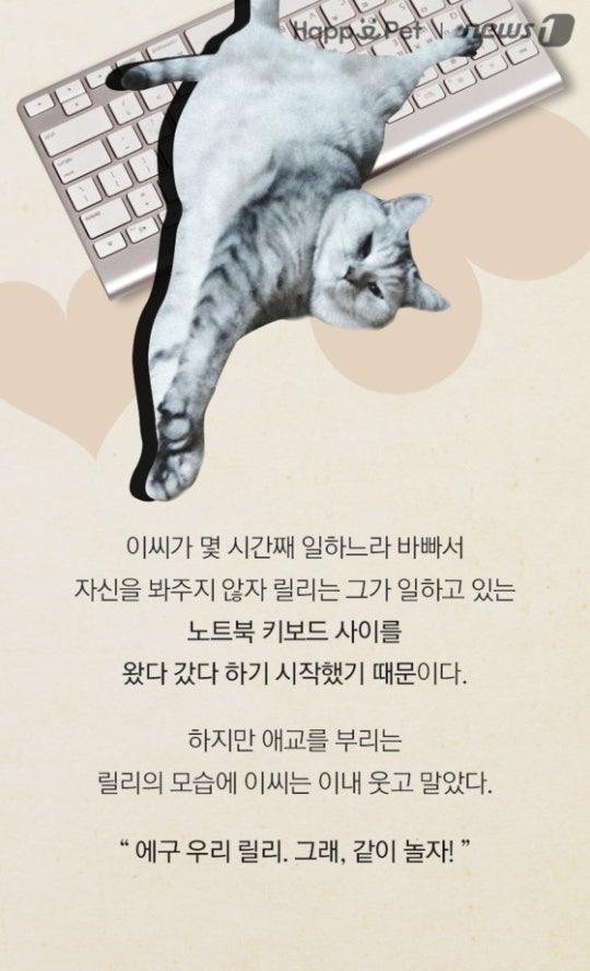 0002719603_003_20170508100131996.jpg?typ