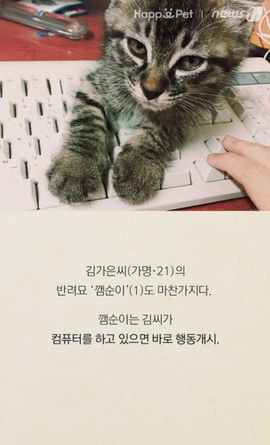 0002719603_004_20170508100132013.jpg?typ