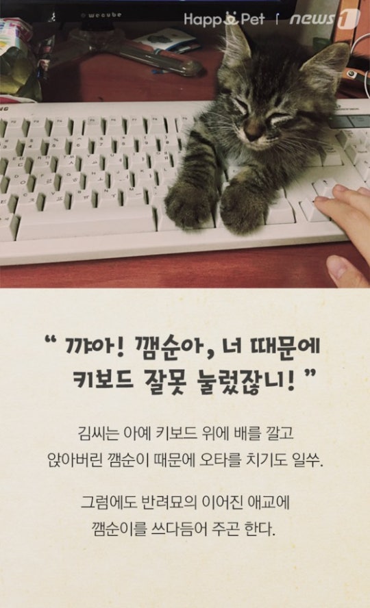 0002719603_005_20170508100132044.jpg?typ