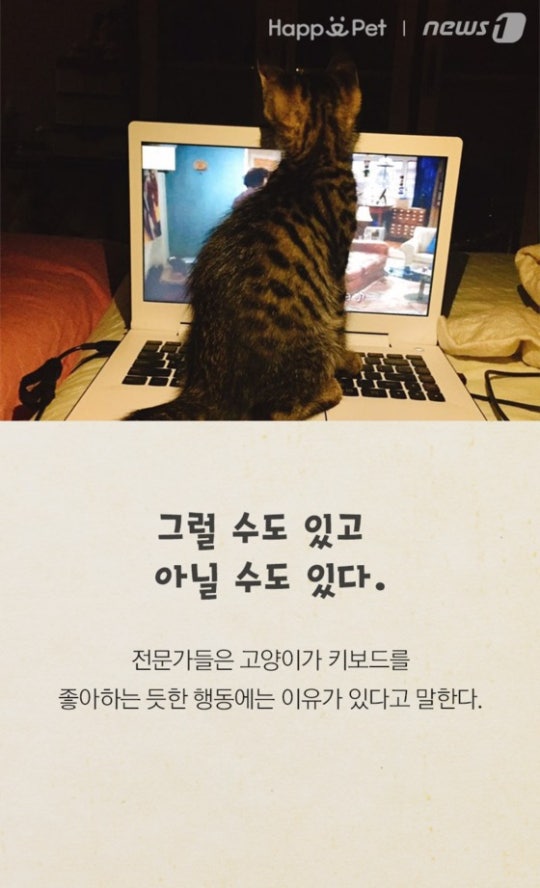 0002719603_007_20170508100132082.jpg?typ