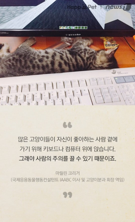 0002719603_008_20170508100132113.jpg?typ