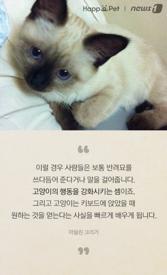 0002719603_009_20170508100132132.jpg?typ