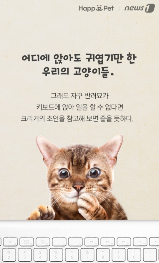 0002719603_013_20170508100132219.jpg?typ