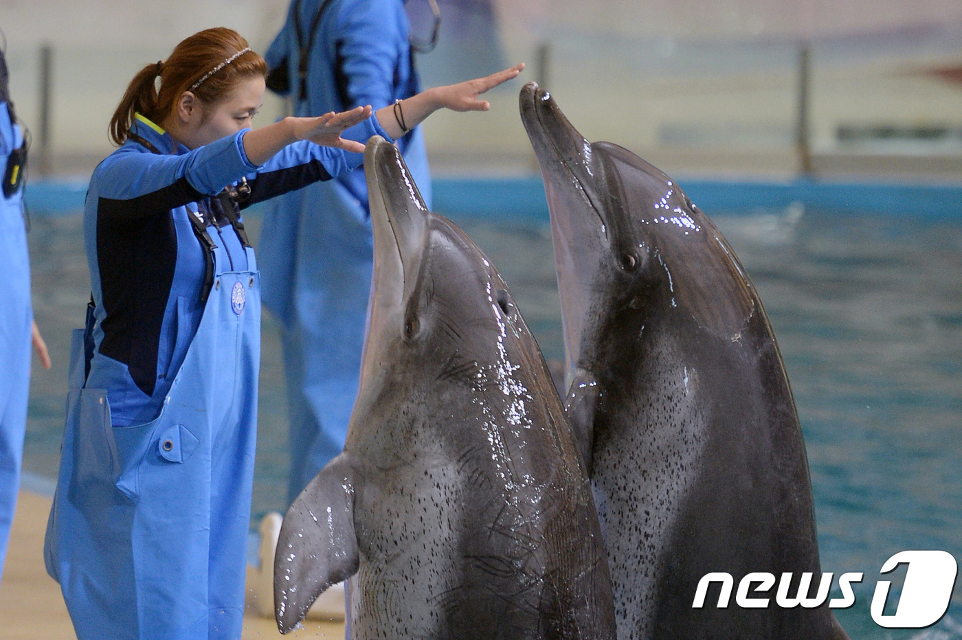 이제 바다에서 만나자…어린이들 돌고래 금등·대포와 작별