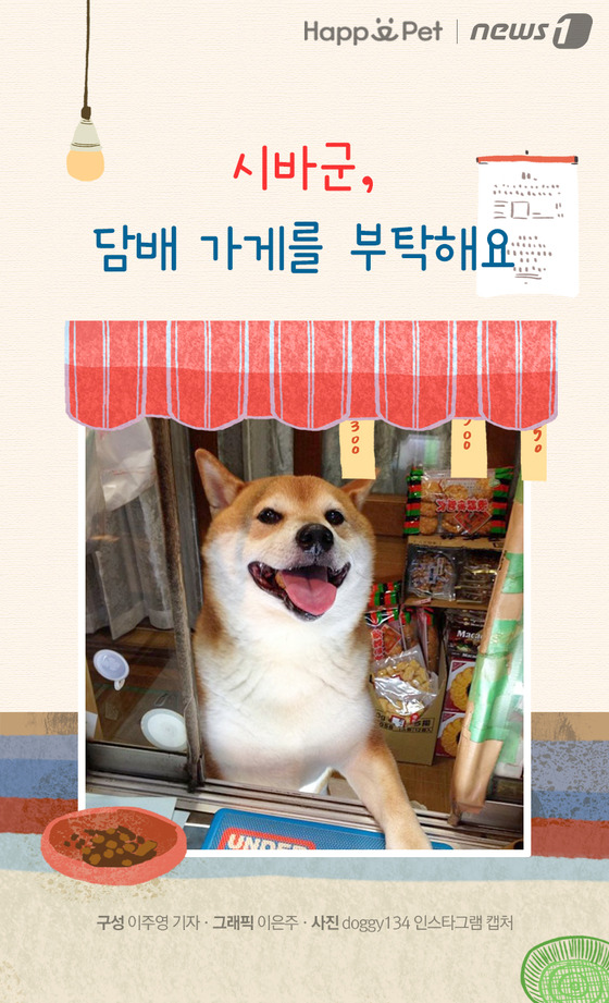 [펫카드] 우리 동네 담배 가게 강아지는 무지하게 예쁘다네