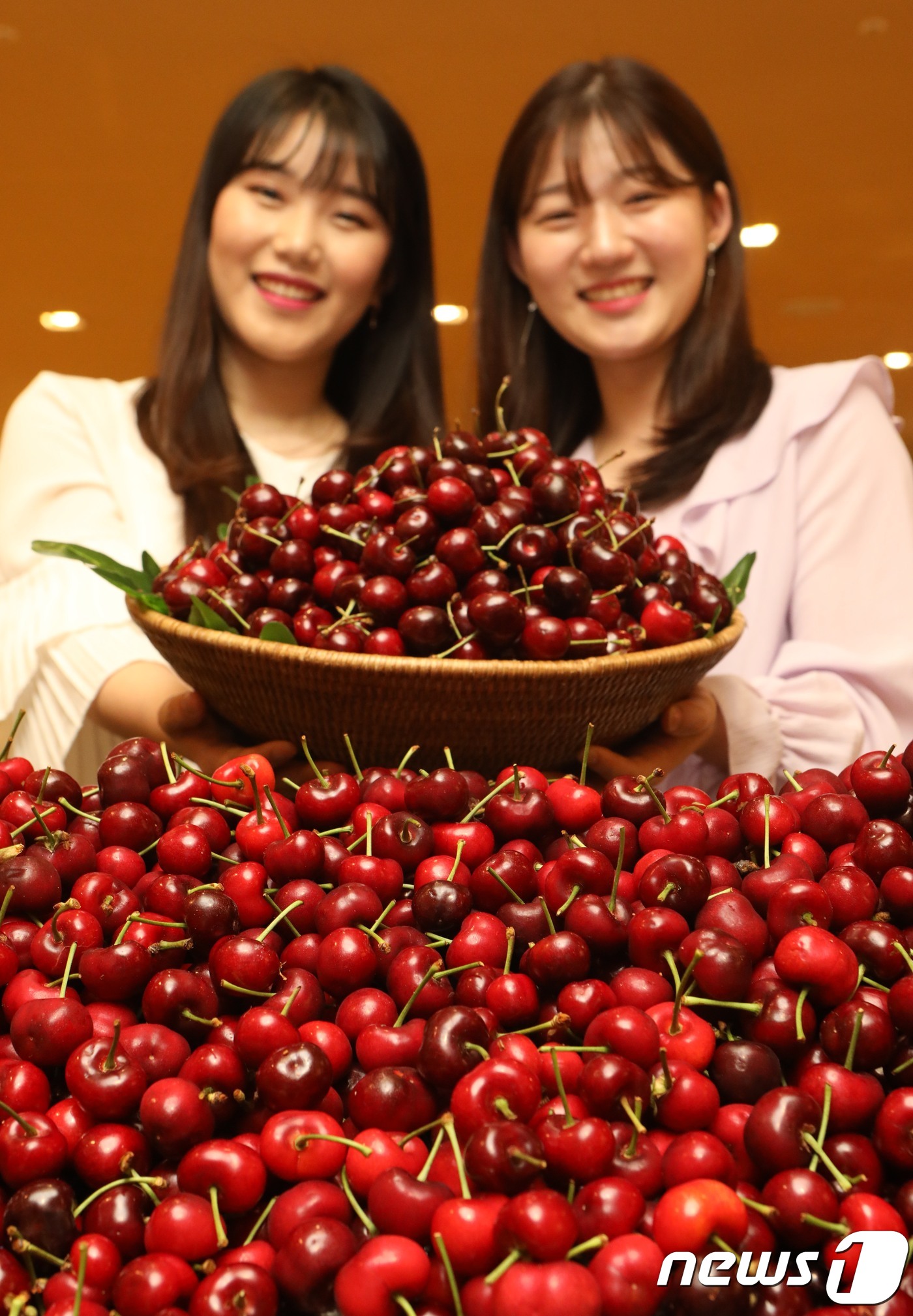 신선하고 달콤한 국산 체리 드세요!