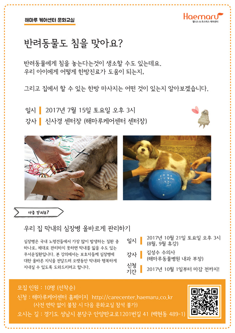 반려동물에게도 한방치료가 가능할까?