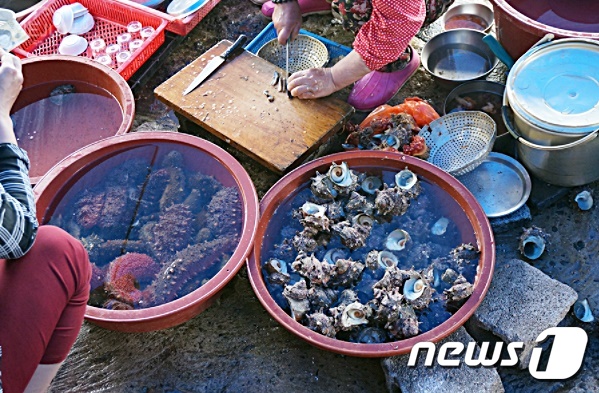 [여름식중독③]높아진 해수온도, 비브리오균 주의 어패류 충분히 익혀야