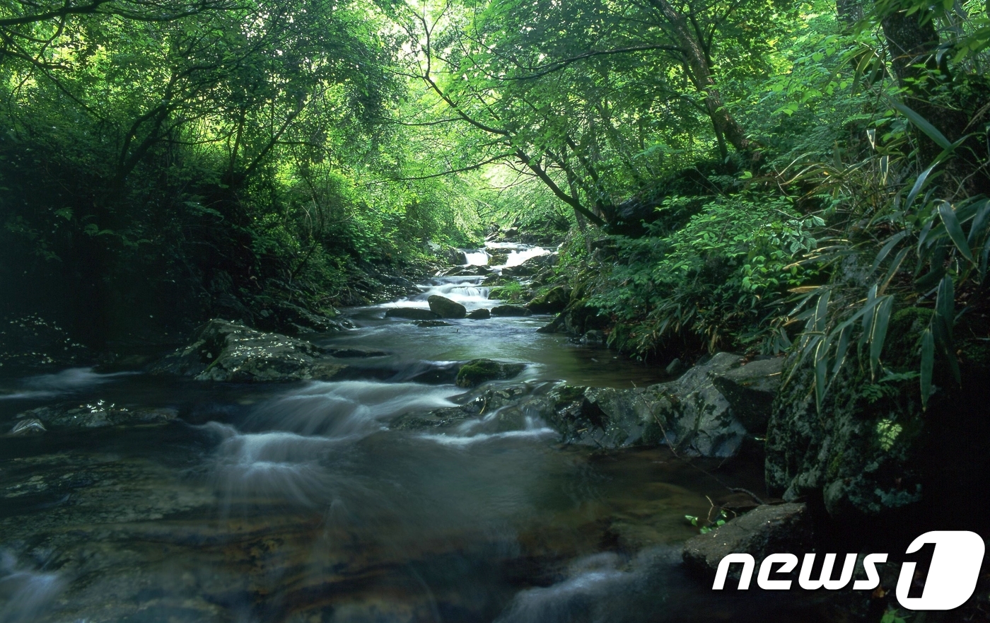 임실 성수산자연휴양림, 힐링타운 조성