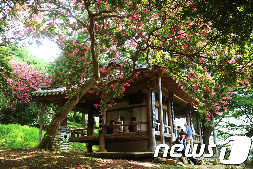 명옥헌에 핀 붉은 백일홍