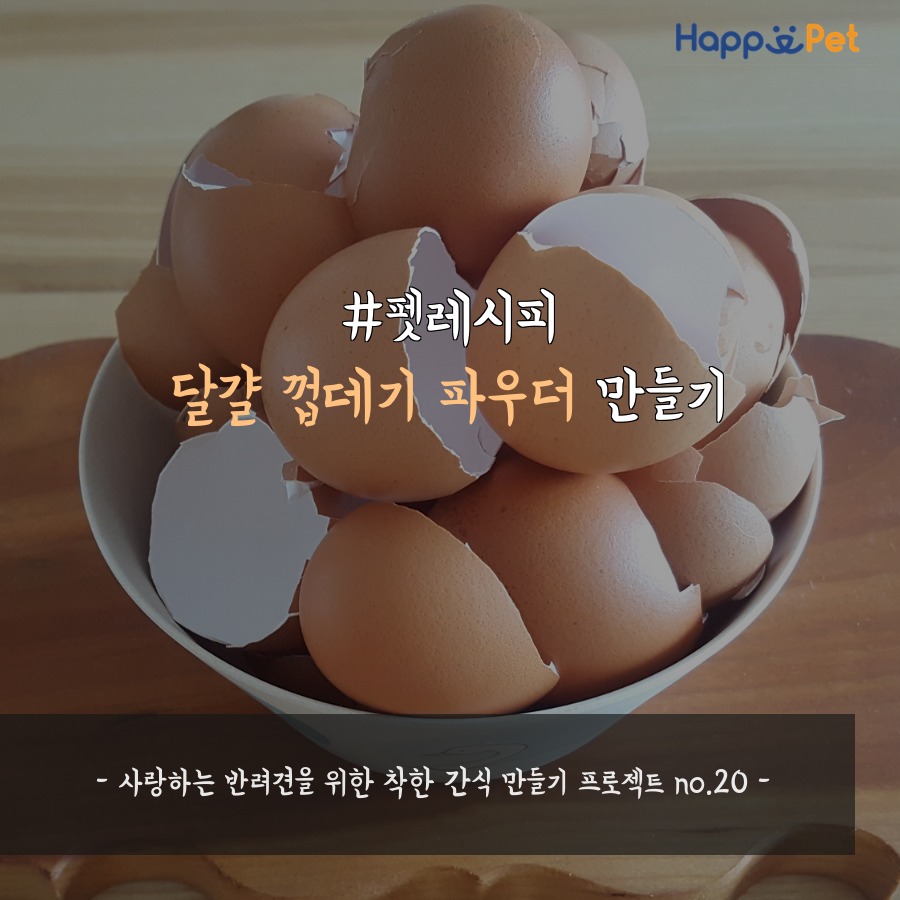 [펫레시피] 달걀 껍데기 파우더 만들기