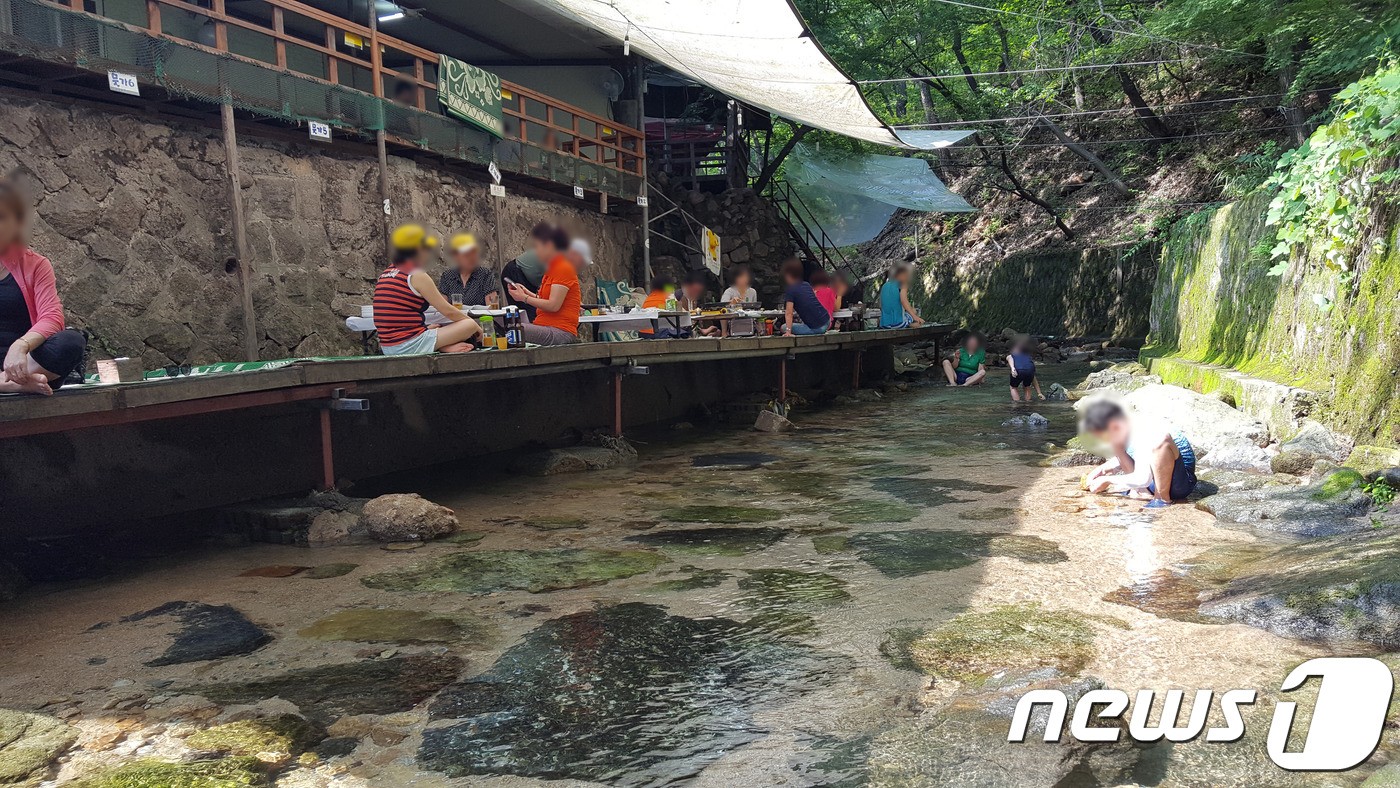 서울 우이동계곡 등 불법 음식점주 20명 형사입건