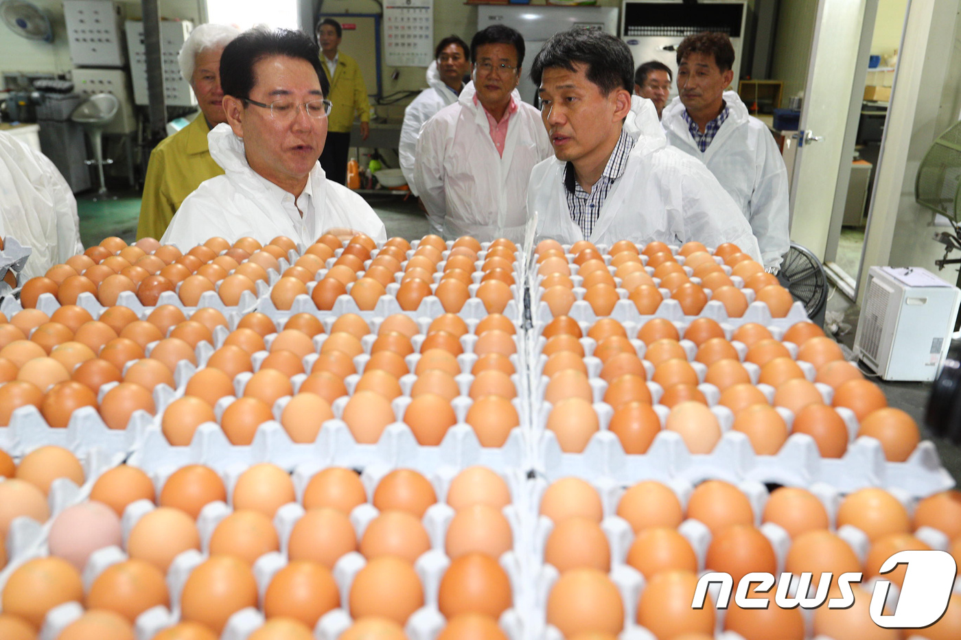 김영록 안전한 계란을 위해