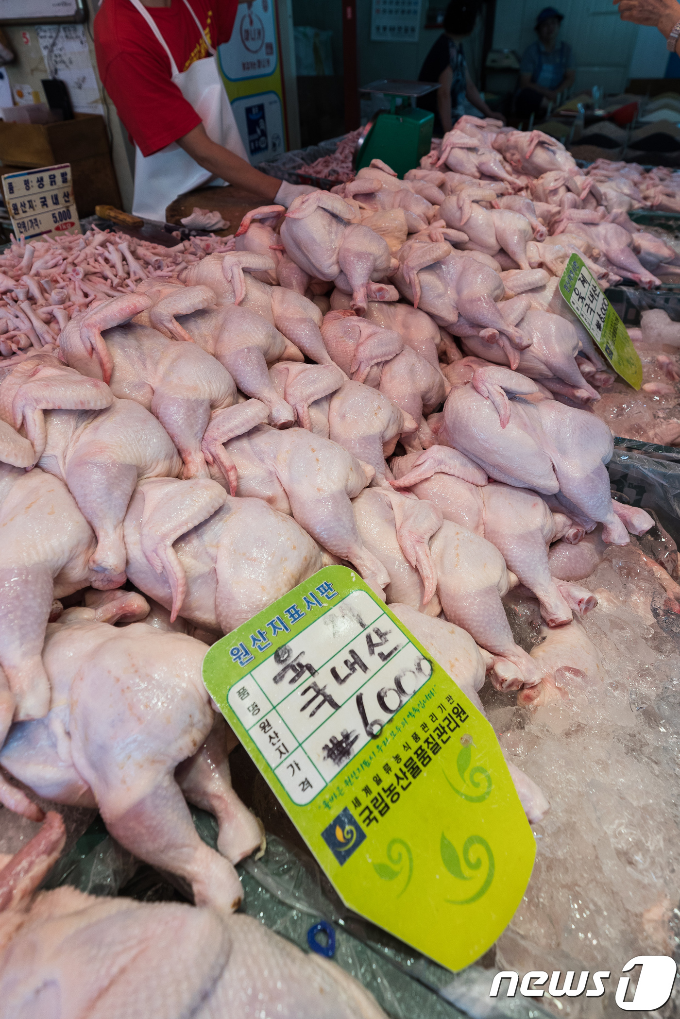 닭고기 가격공시제 시행...프랜차이즈 치킨값 인하 압박?