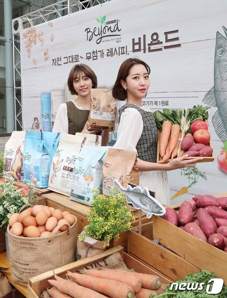 내추럴 펫푸드 브랜드 비욘드 출시