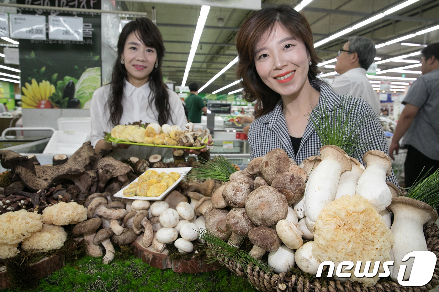 명절 앞두고 버섯 모음전
