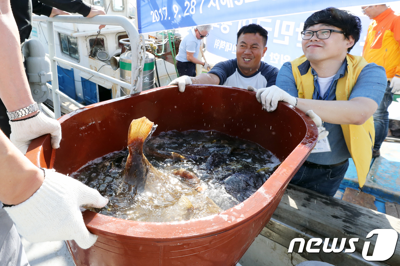 싱싱한 서해5도 활어가 왔습니다
