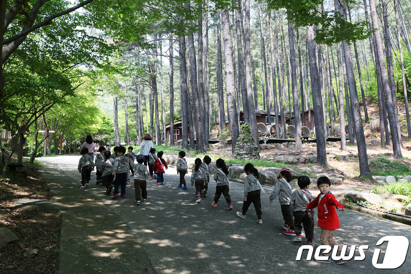 광양 백운산자연휴양림 방문객 올해 10만 돌파 기대