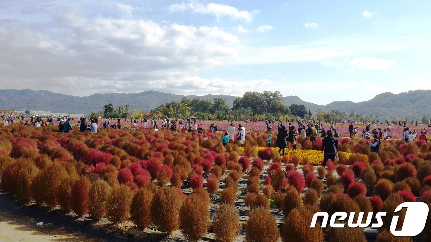 양주시, 핑크뮬리 명소 체험관광농원 폐장…월동 준비