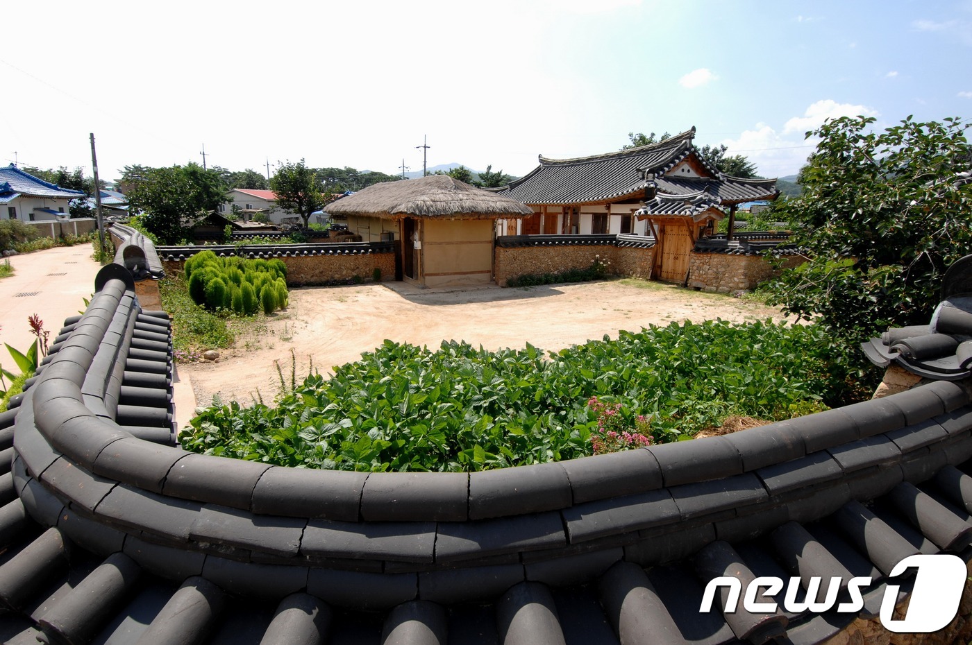 예천군 금당실권역, 농어촌인성학교에 선정