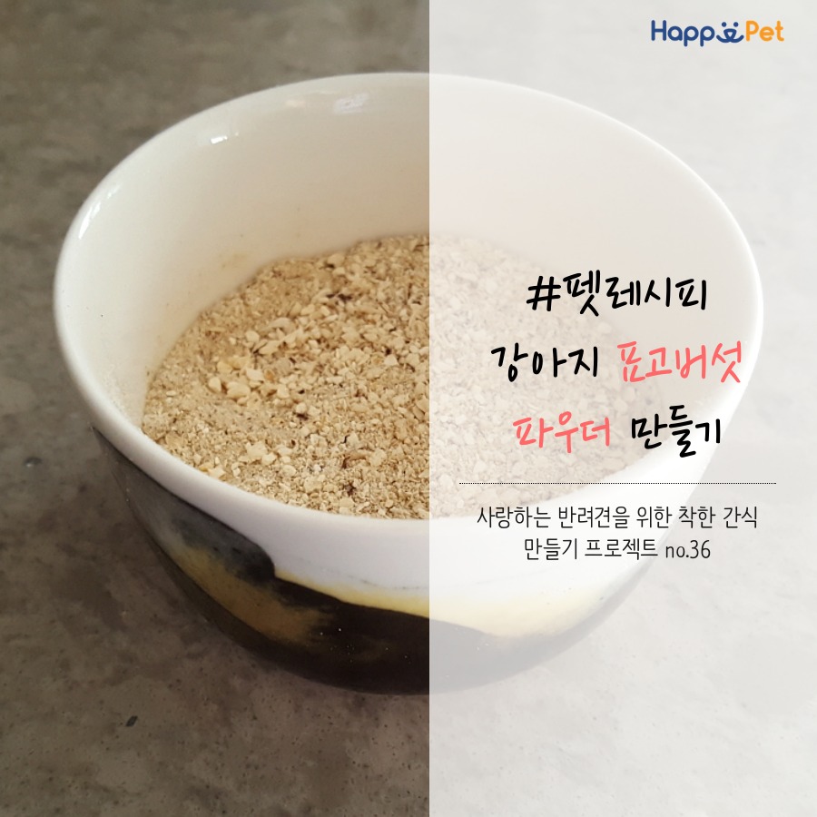[펫레시피] 강아지 표고버섯 파우더 만들기
