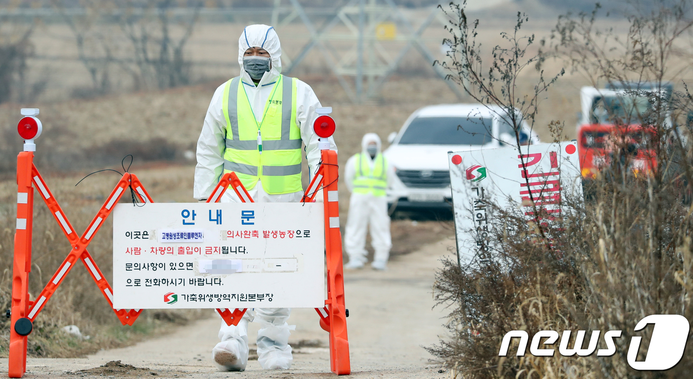 영암 오리 농장에서 또 고병원성 AI…올겨울 8번째