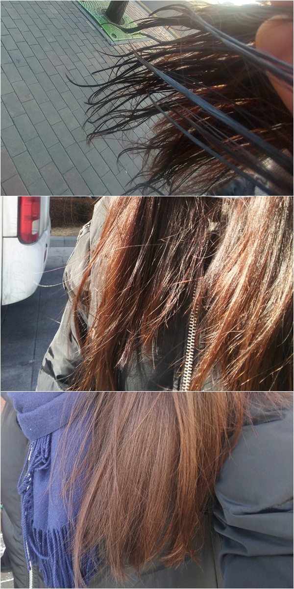[N리뷰] ‘꿀피부는 기본, 꿀 머릿결은 센스!’ 하치카 체험기